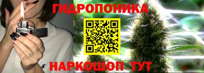 мяу мяу мука Вязьма