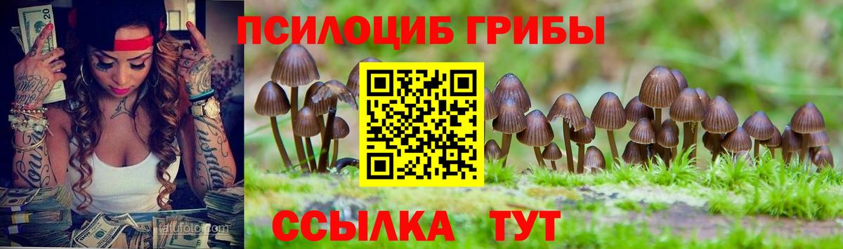 Псилоцибиновые грибы Cubensis  Псилоцибиновые грибы прущие грибы  Печора  Вход с VPN 